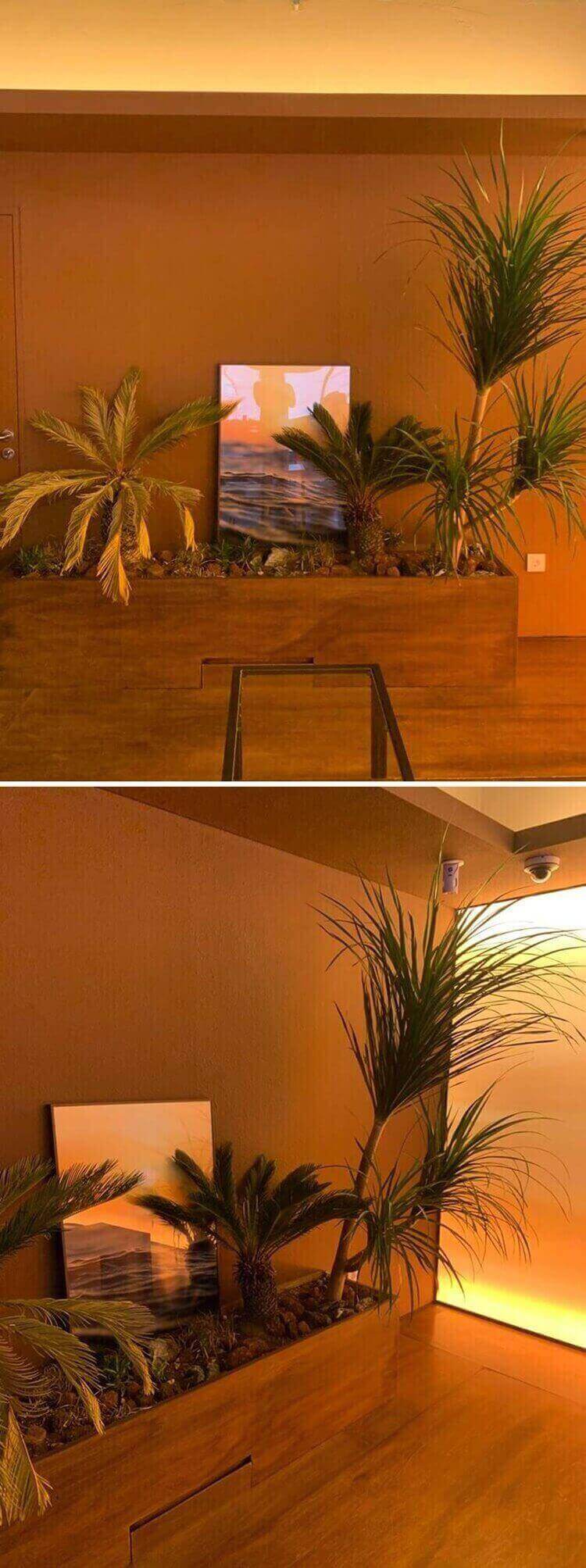 식물과 분위기가 잘 어울리는 사진