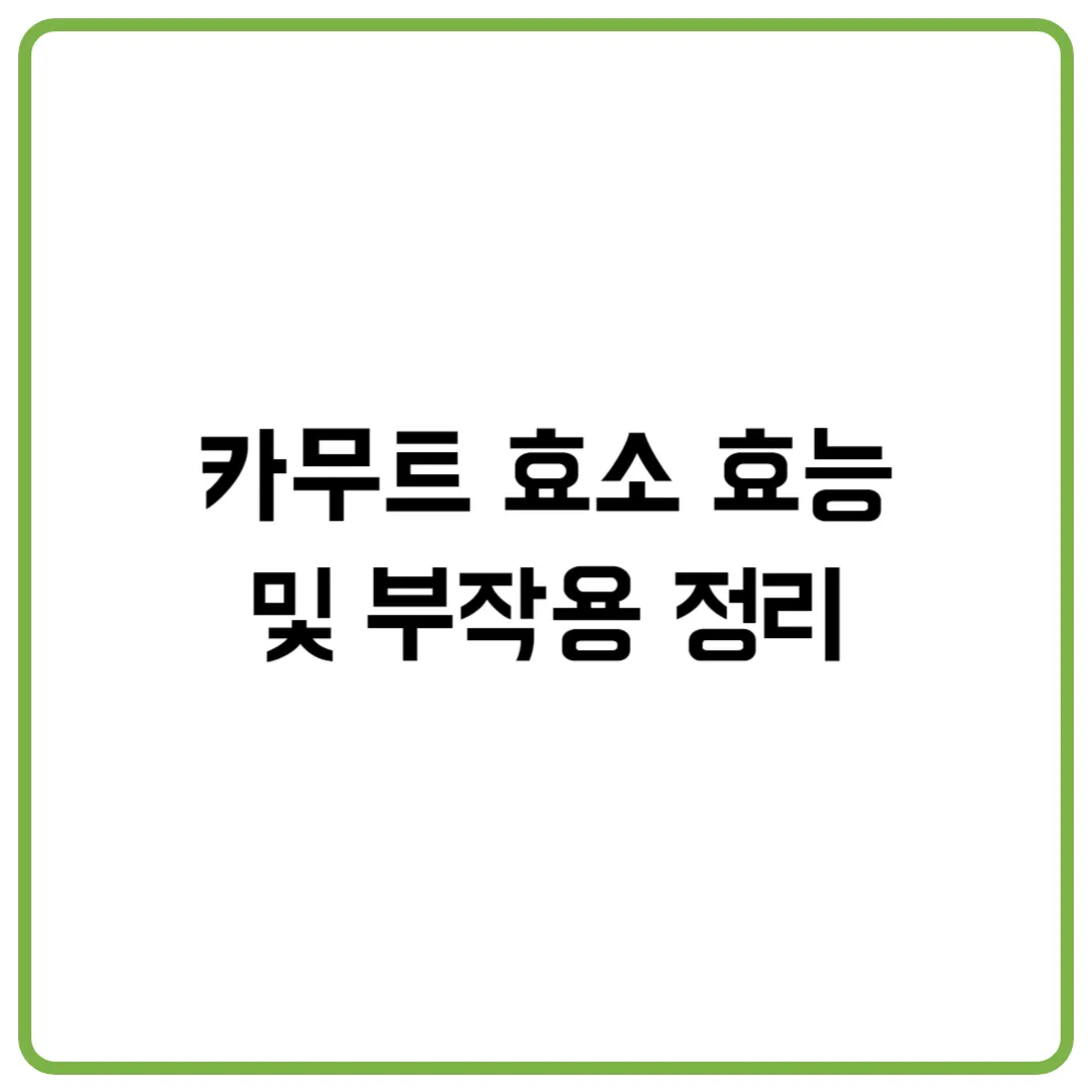 카무트 효소 효능 및 부작용 정리