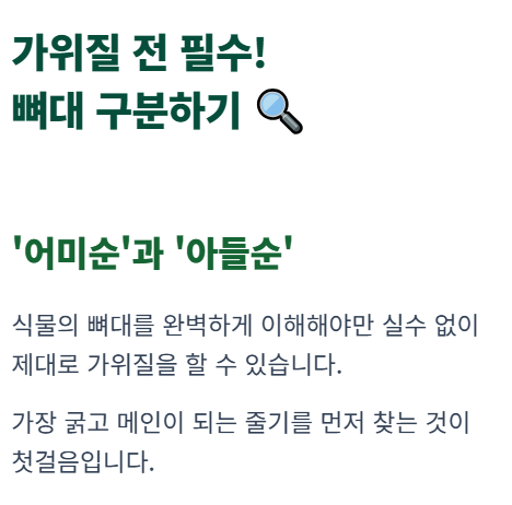 수박 순치기 방법