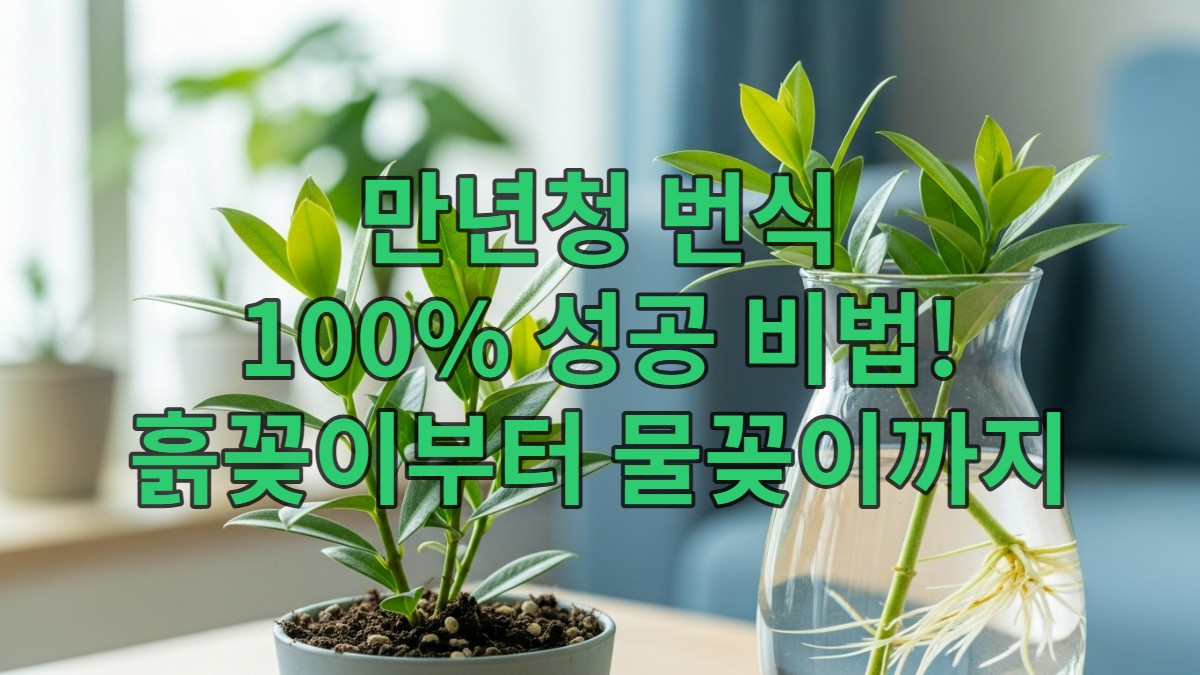 푸릇푸릇한 만년청 식물과 흙꽂이, 물꽂이 번식 과정이 함께 보이는 사진. 건강한 잎과 물속에서 자라는 하얀 뿌리가 생생하게 표현되어 있음.