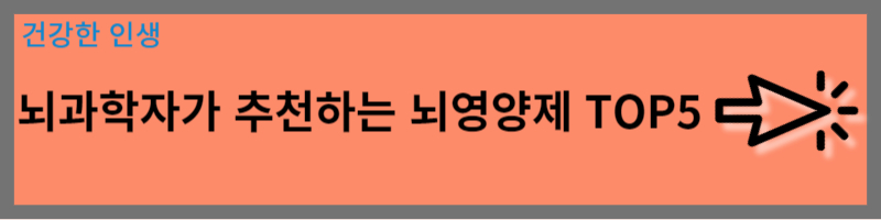 뇌영양제