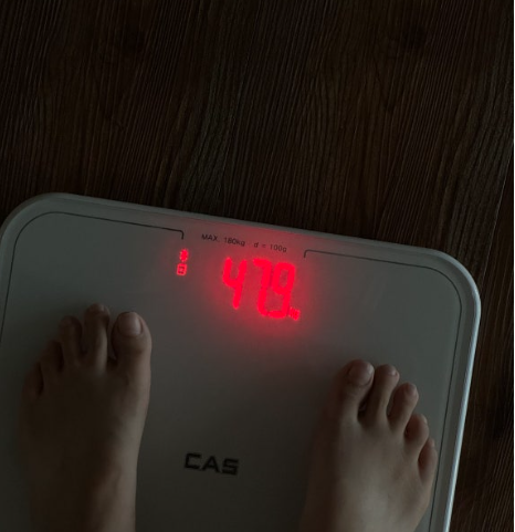 듀얼플랜 유산균 다이어트 내돈내산 효과