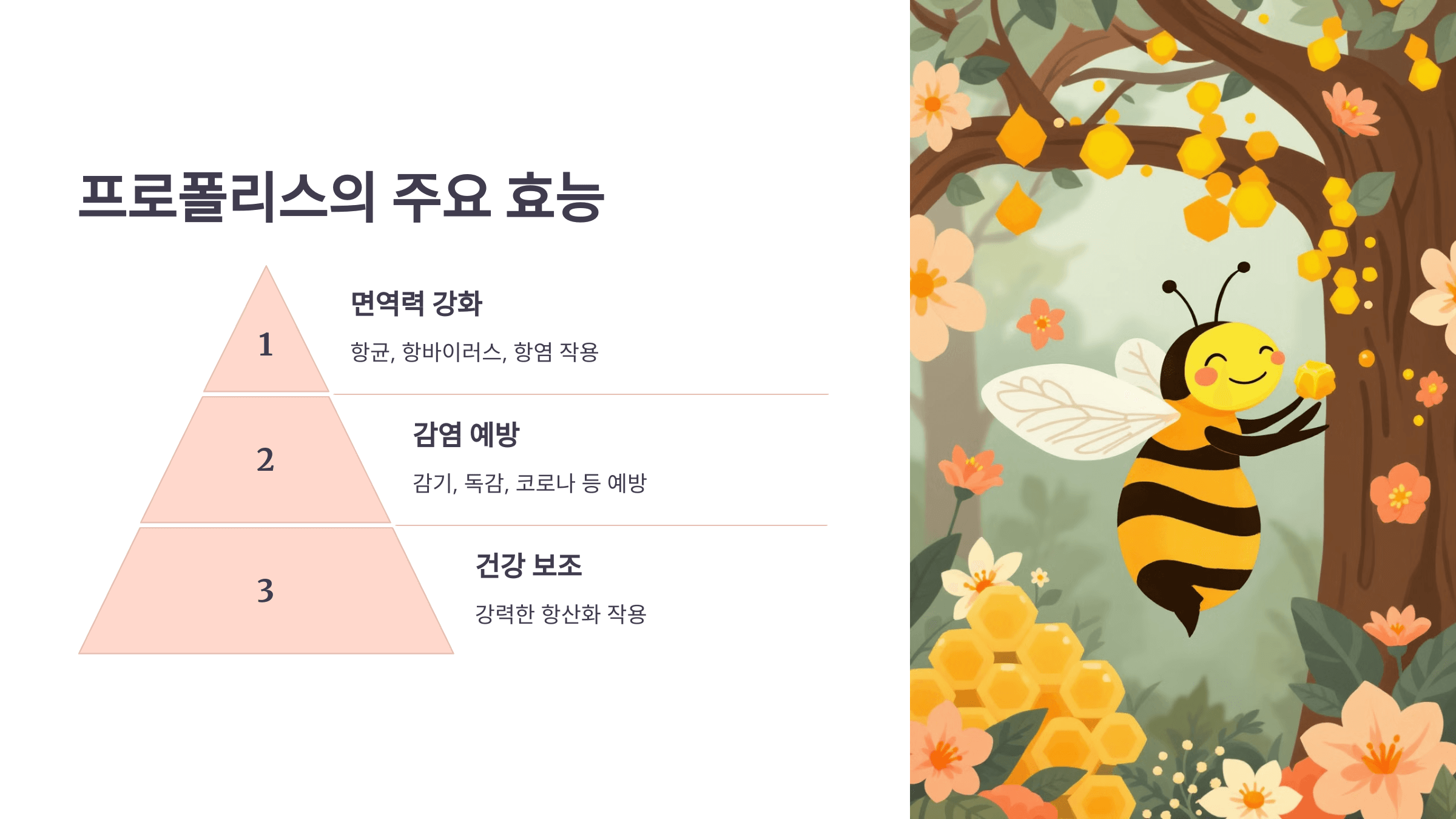 프로폴리스 사진입니다.