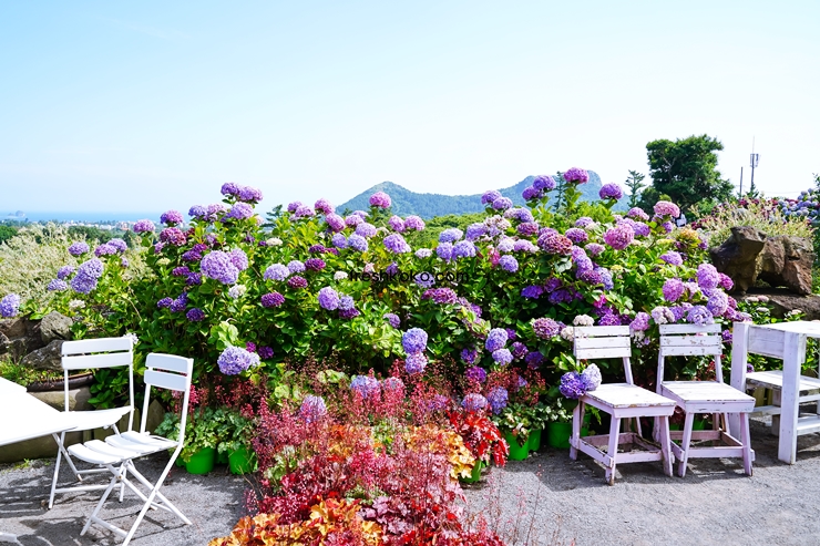 7월 축제 가볼만한곳 10곳 여행지 추천