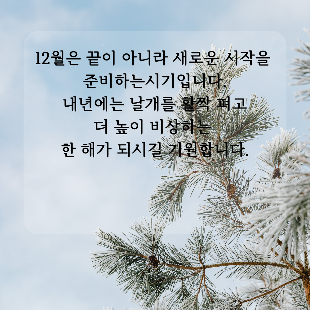 2025년 12월 인사말 문구 이미지 모음 글귀