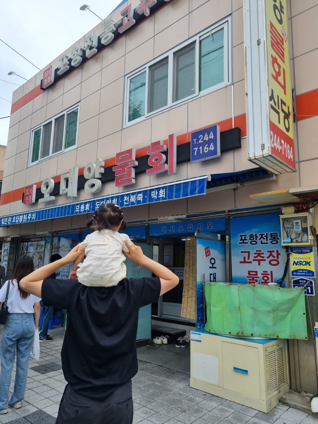 오대양물회