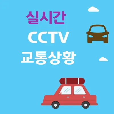 경찰청 실시간 CCTV