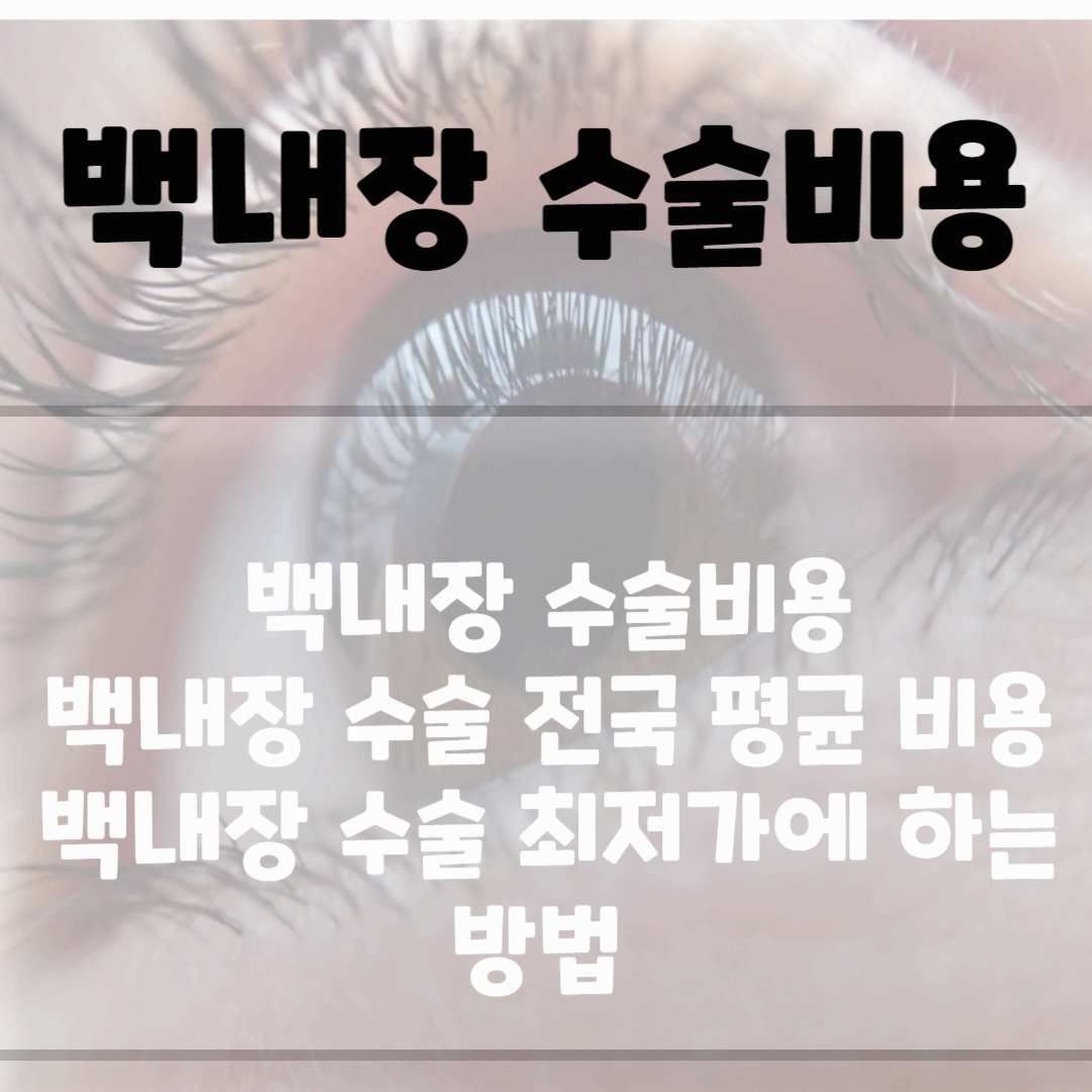 백내장 수술비용(2023년 최신, 최저가 확인) 블로그 썸네일 사진
