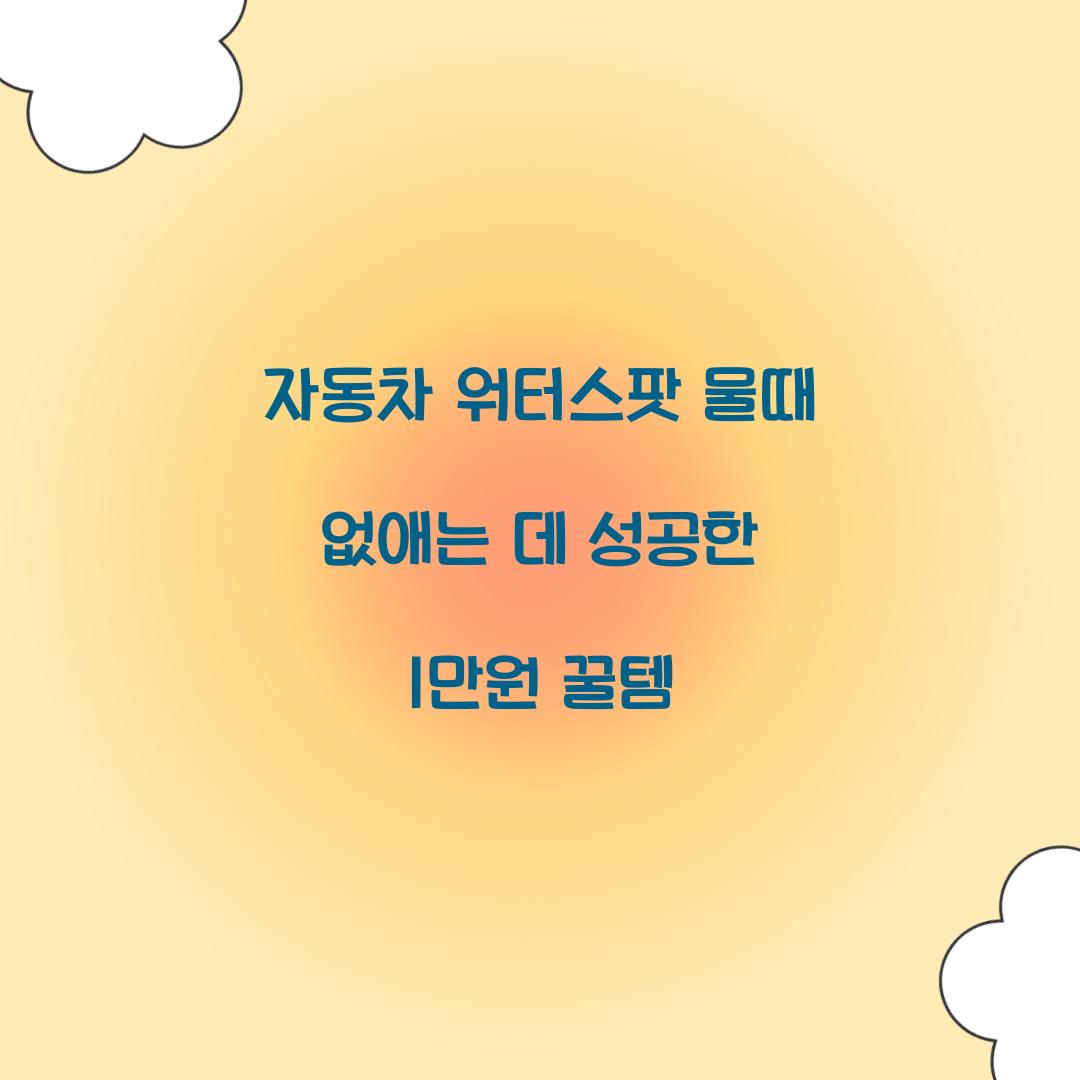 자동차 워터스팟 물때 없애는 데 성공한 1만원 꿀템  
