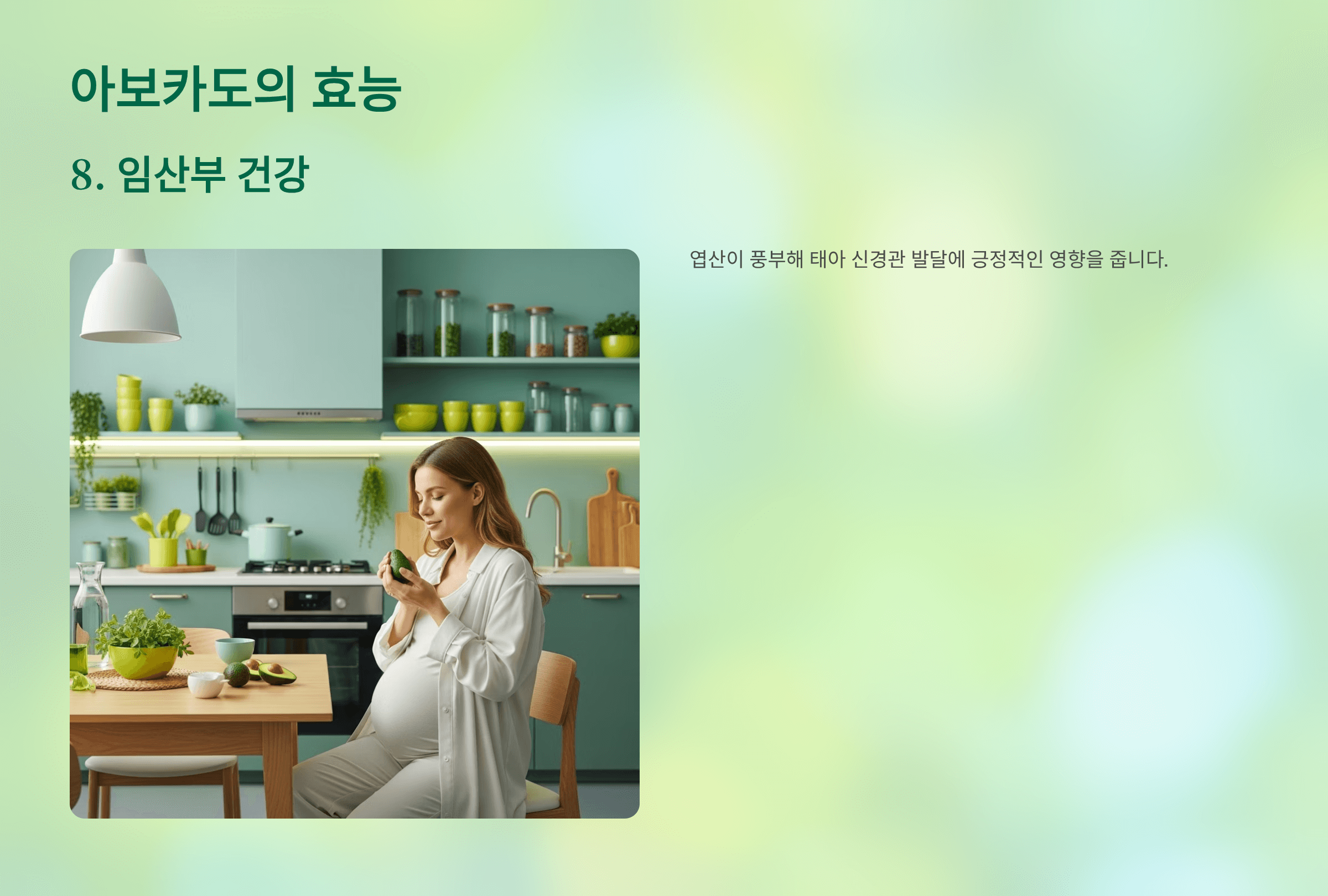 아보카도 사진입니다.