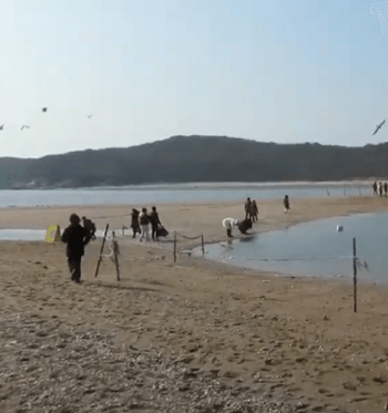 인천_무의도_가는길