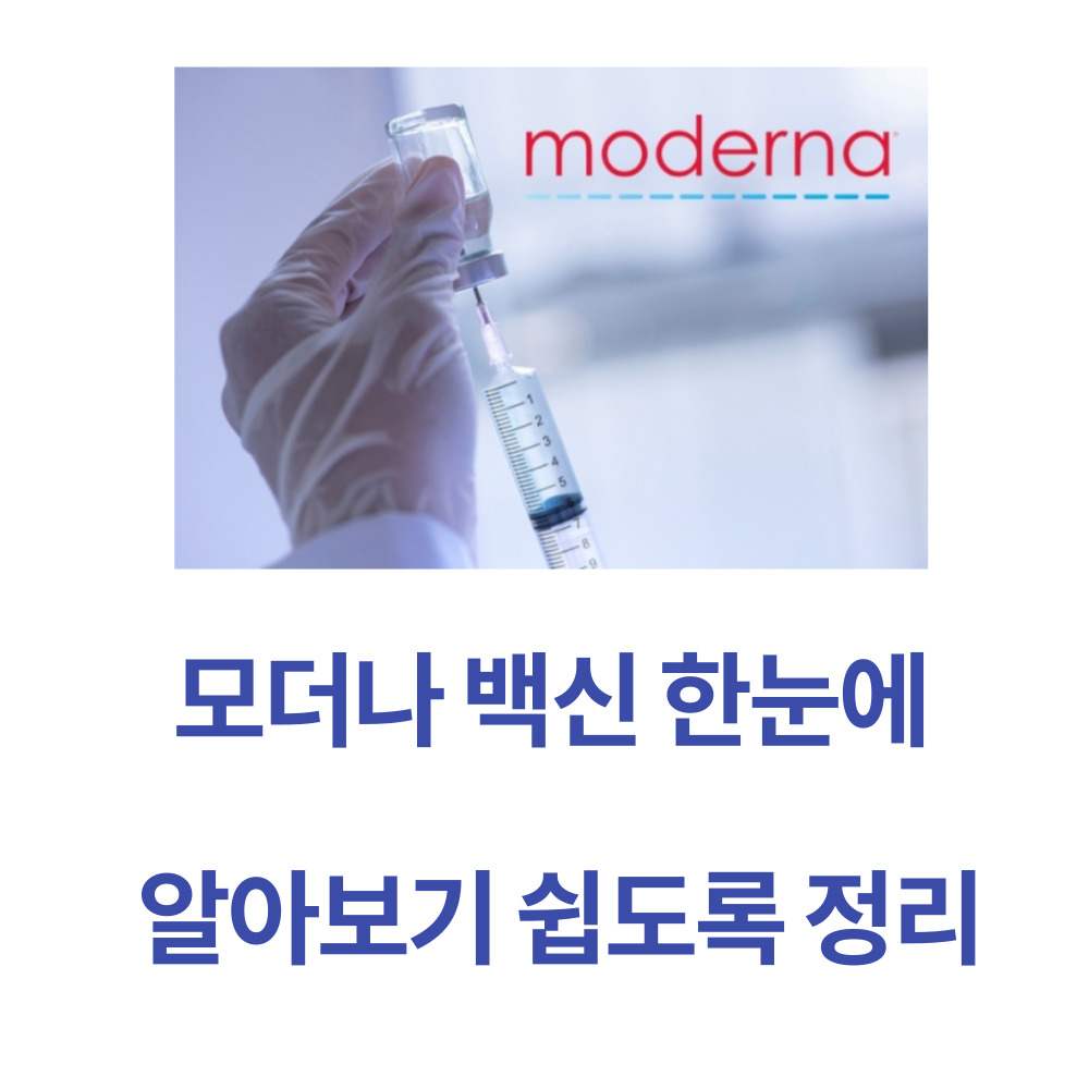 모더나