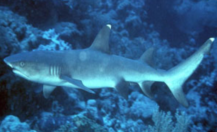 울진 아쿠아리움