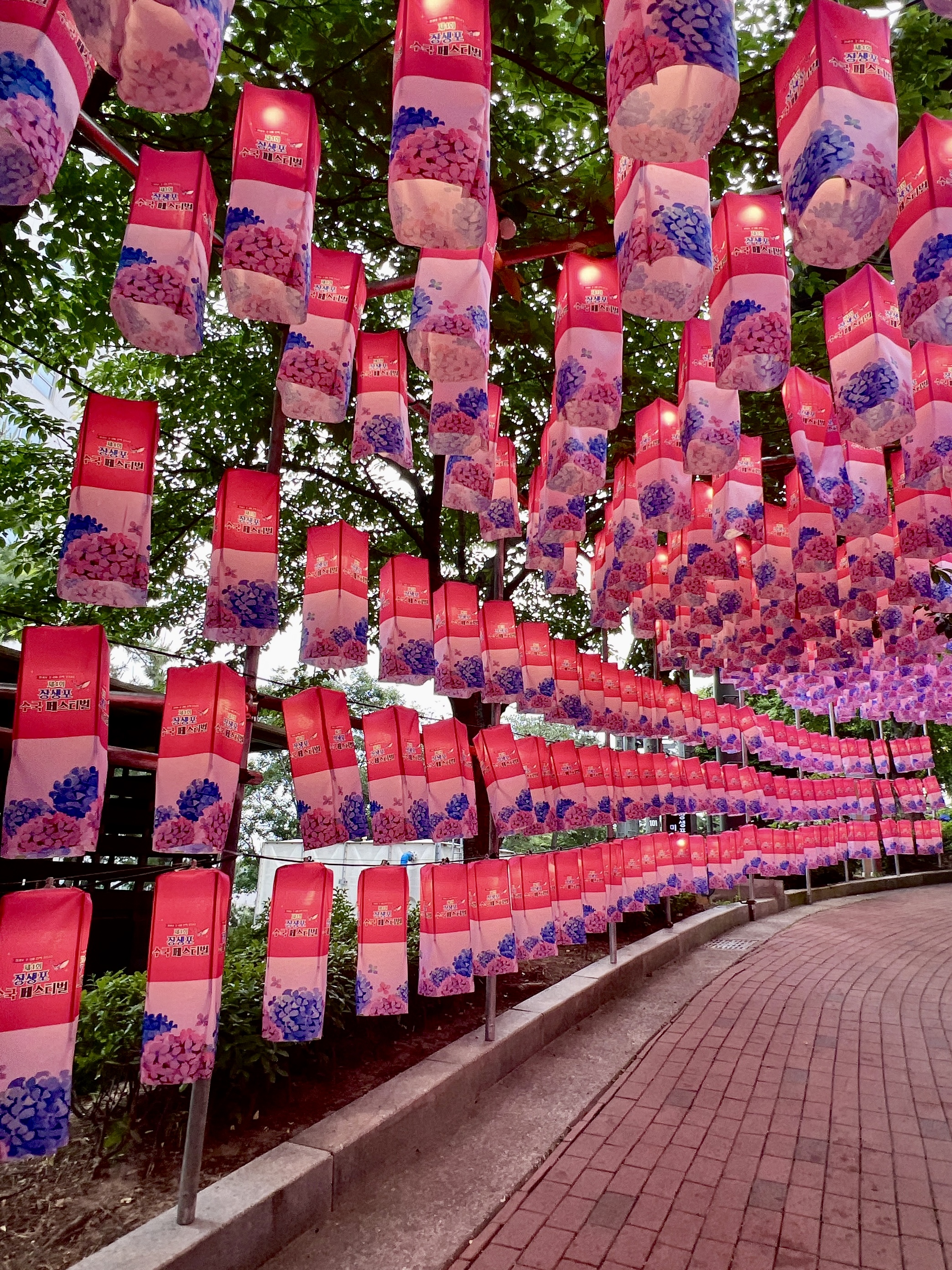 #장생포수국축제
#울산수국축제
#고래문화마을
#울산장생포가볼만한곳
#장생포포토존
#고래광장수국길
#오색수국정원
#수국축제개화상황2025
#수국사랑상품권사용처
#울산6월축제
#장생포여행코스
#울산플리마켓체험
#울산데이트코스
#울산여행추천
#장생포주차정보
#수국포토존