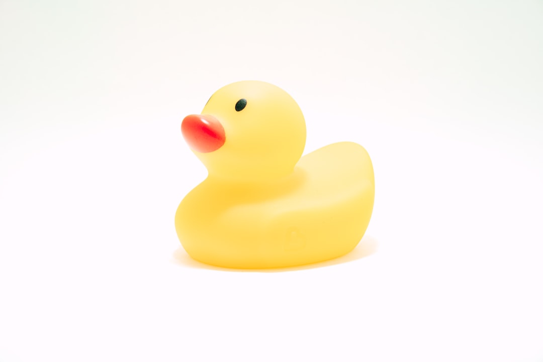 Toy