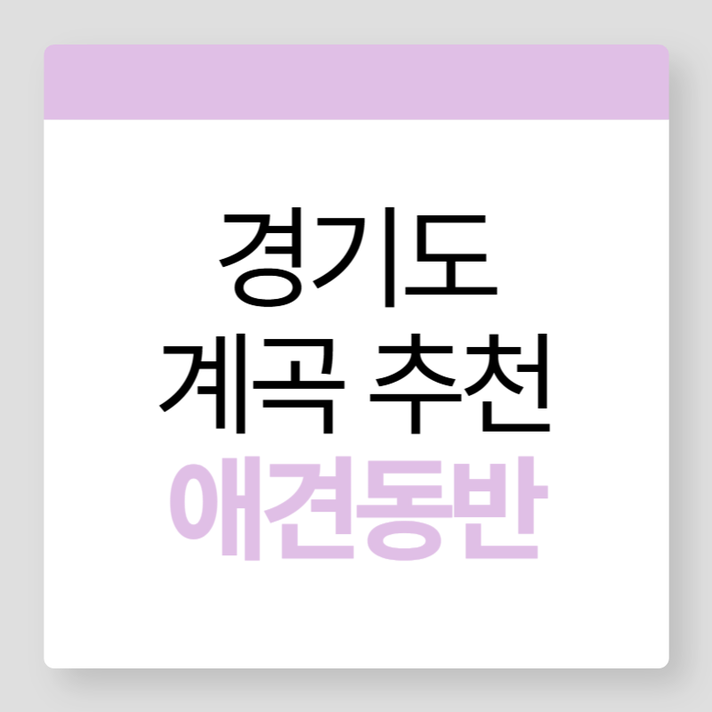 경기도계곡추천