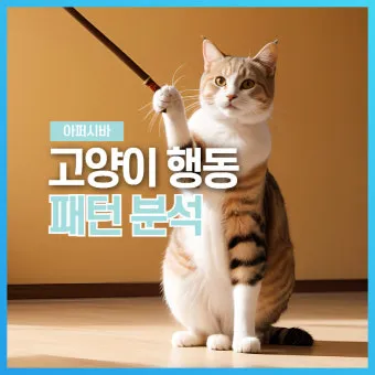 고양이 행동 분석 교정 언어 의미_12