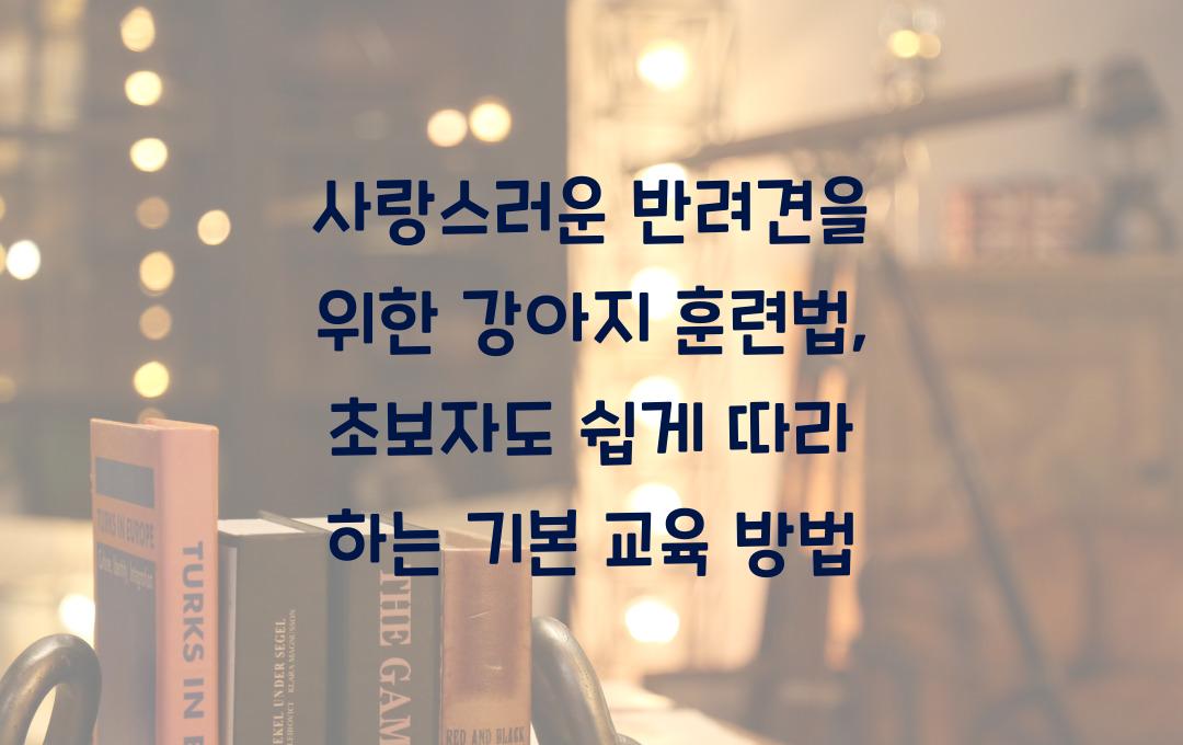 강아지 훈련법, 초보자도 쉽게 따라 하는 기본 교육 방법