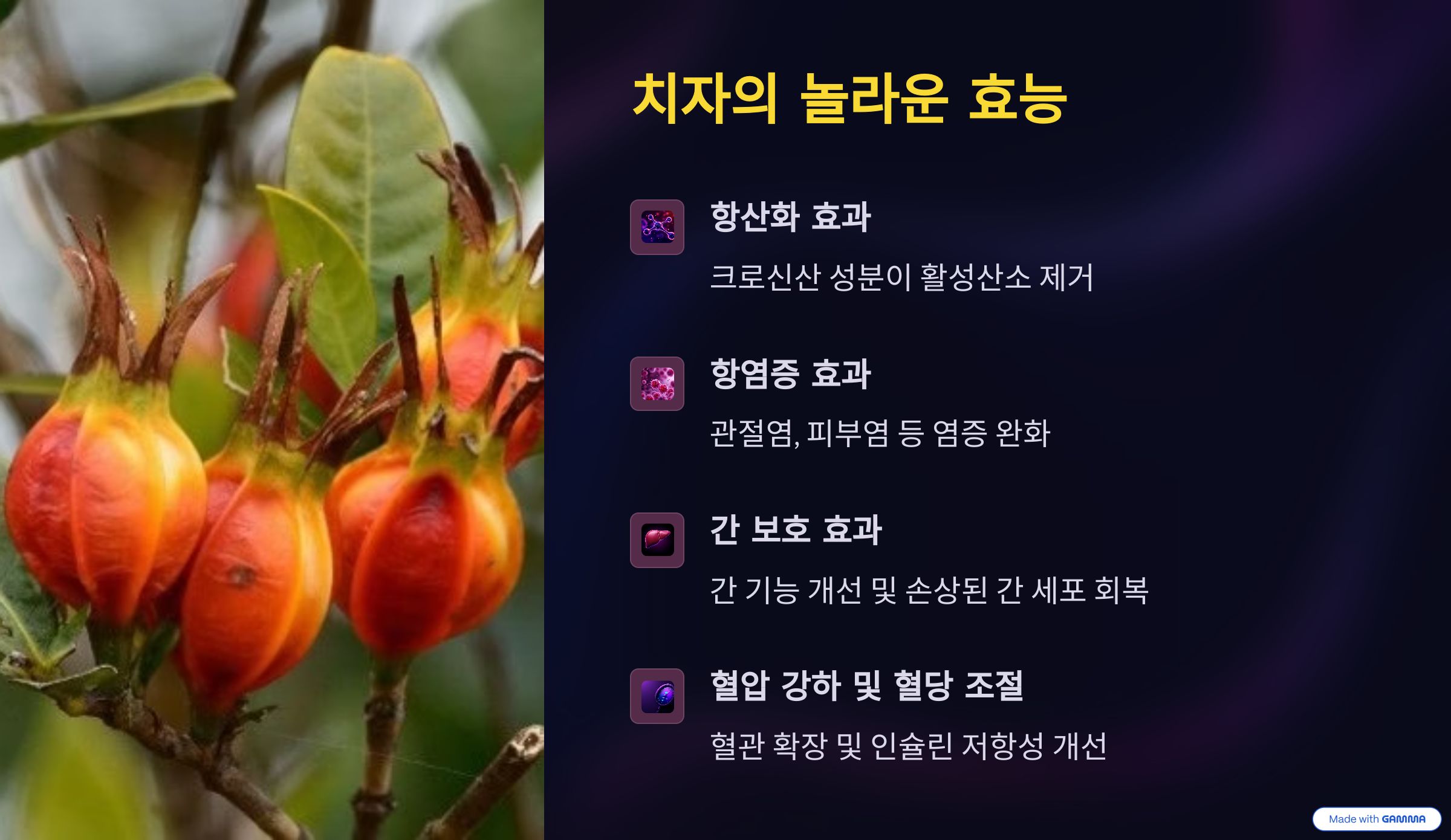 치자의 효능