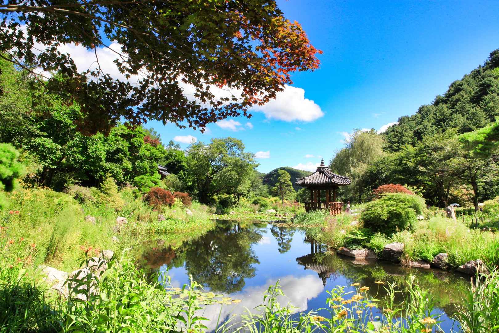 아침고요수목원