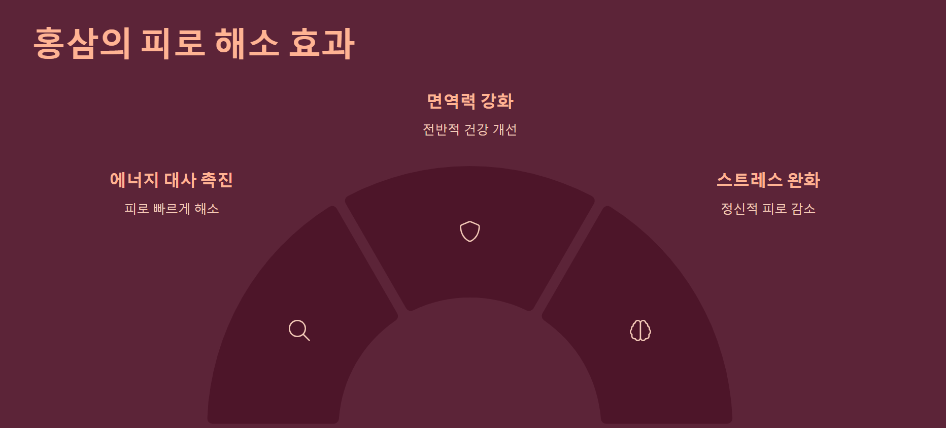 홍삼의 피로 해소 효과