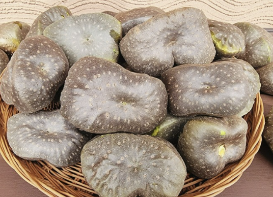 하늘마 효능 재배방법 먹는방법 등 알아보기(최신 Ver)