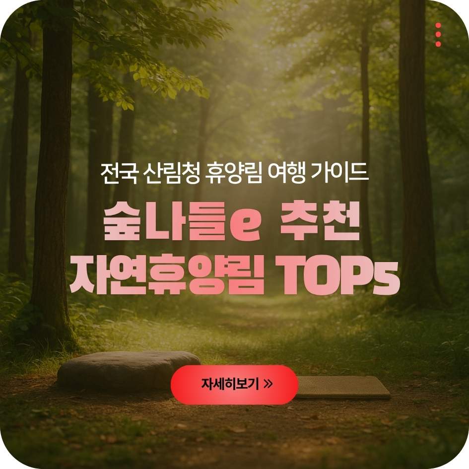 2025 숲나들e 추천 자연휴양림 TOP5 안내 이미지｜전국 산림청 휴양림 여행 가이드