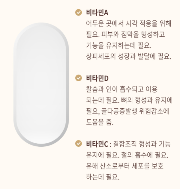 이뮨비타민-트푸포뮬러