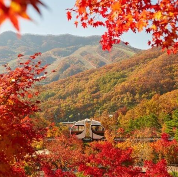 화담숲 예약 3분만에 성공하는 꿀팁