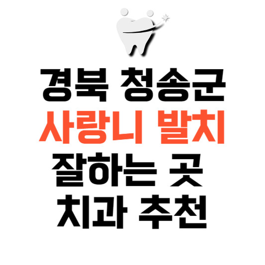 경북 청송군 사랑니 치과 발치 잘하는 곳 추천 매복 가격 비용.png