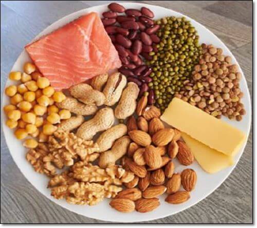 견과류 치즈 생선