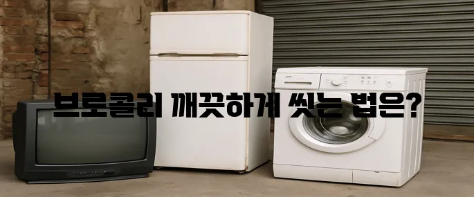 브로콜리 씻는 방법의 모든것