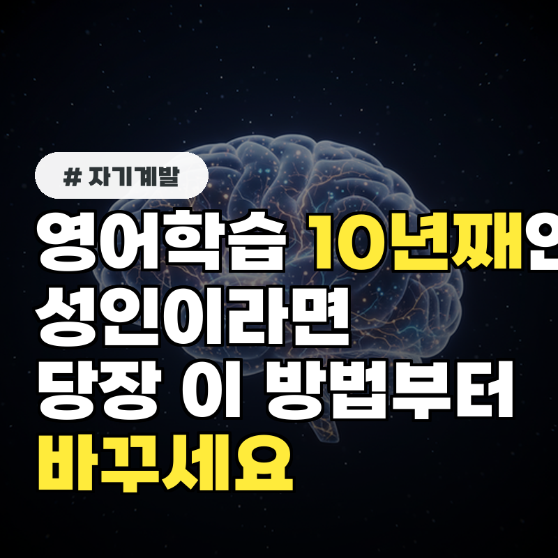 영어학습 10년째인 성인이라면 당장 이 방법부터 바꾸세요