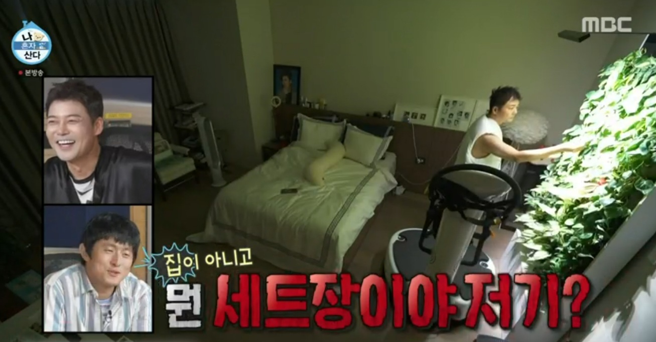 나혼자 산다 609화 전현무 실내정원, 공기정화 식물