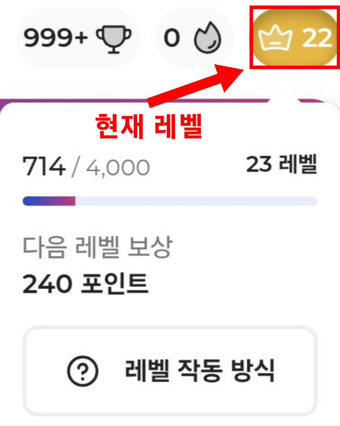 프라임 오피니언 레벨 확인 방법