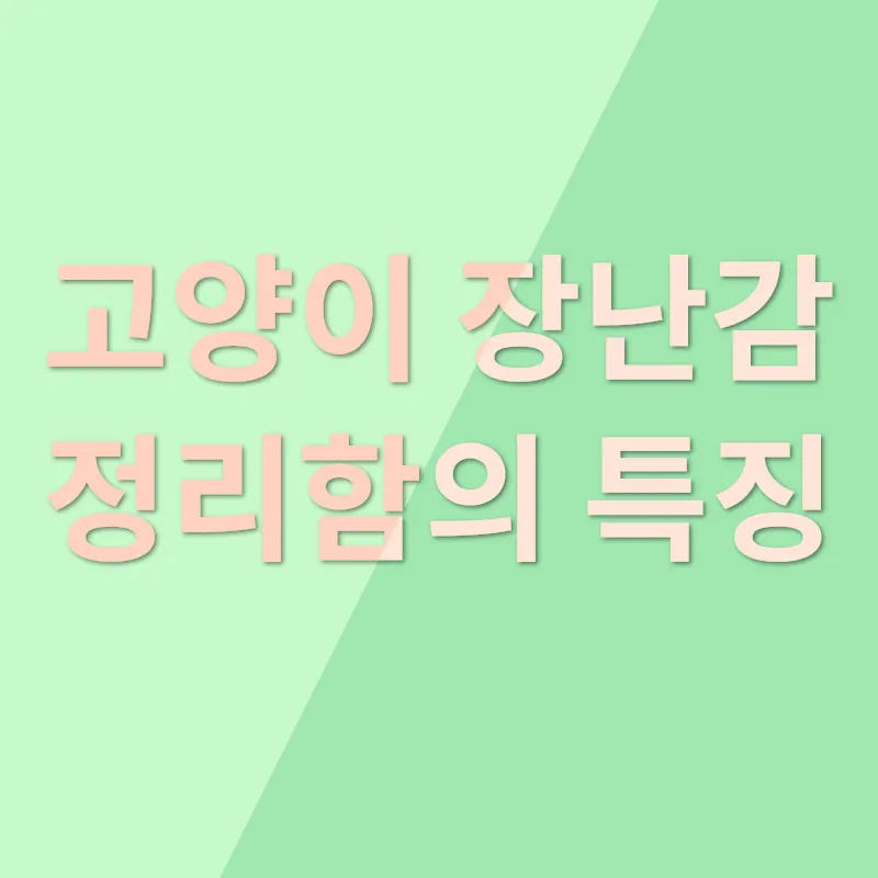 고양이 장난감 정리_2