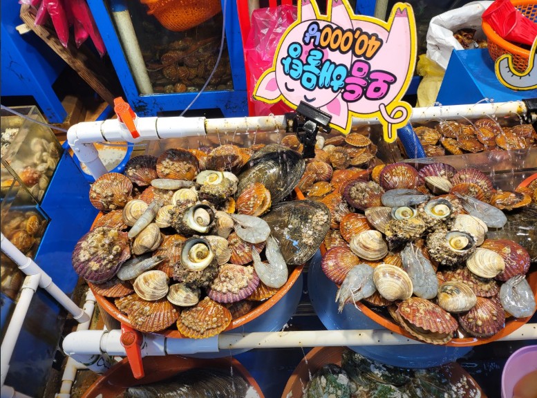 6시내고향 삼천포용궁시장 조개세트 택배 썸네일