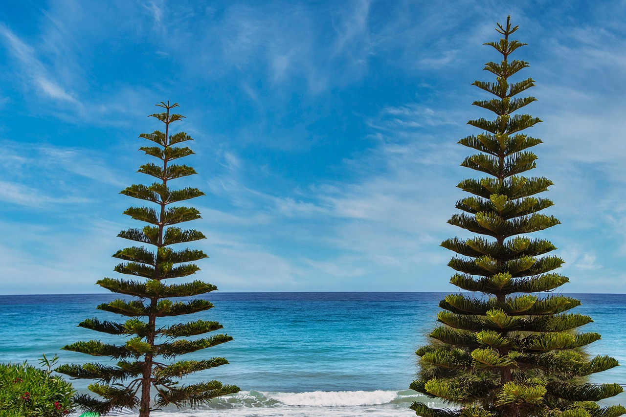 여름철 냉방병&amp;#44; 방치하면 더 위험합니다