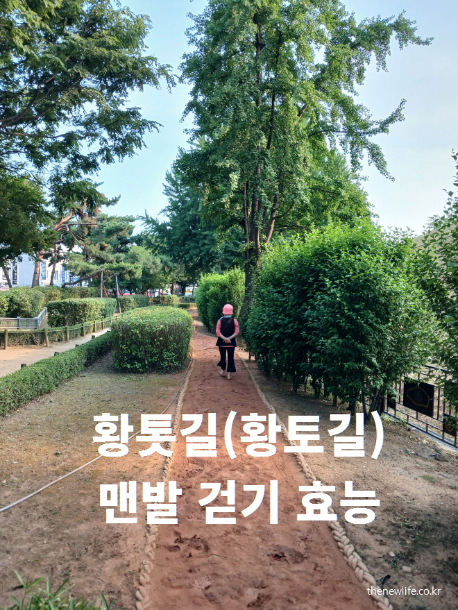 황토길 맨발 걷기 효능을 체험하는 사람