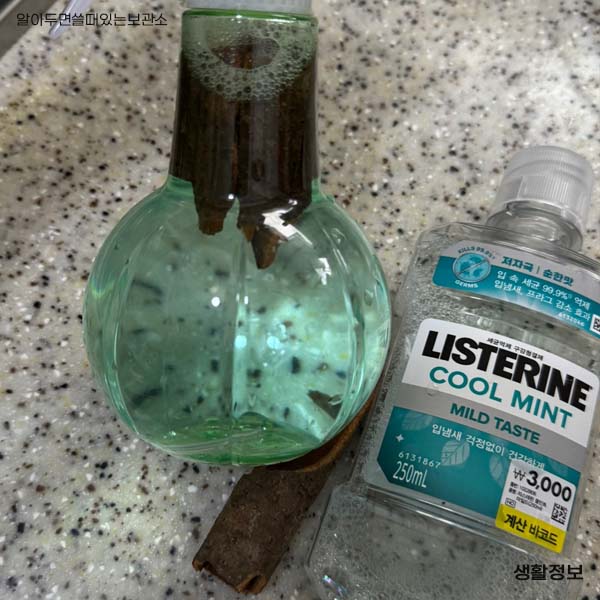 초파리 날파리 제거방법 다이소 리스테린 초파리싹