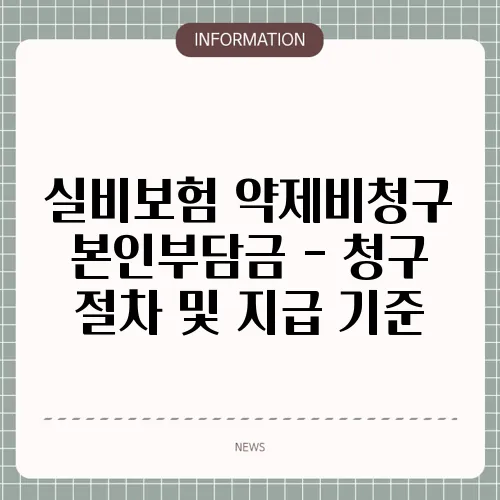 실비보험 약제비청구 본인부담금 - 청구 절차 및 지급 기준