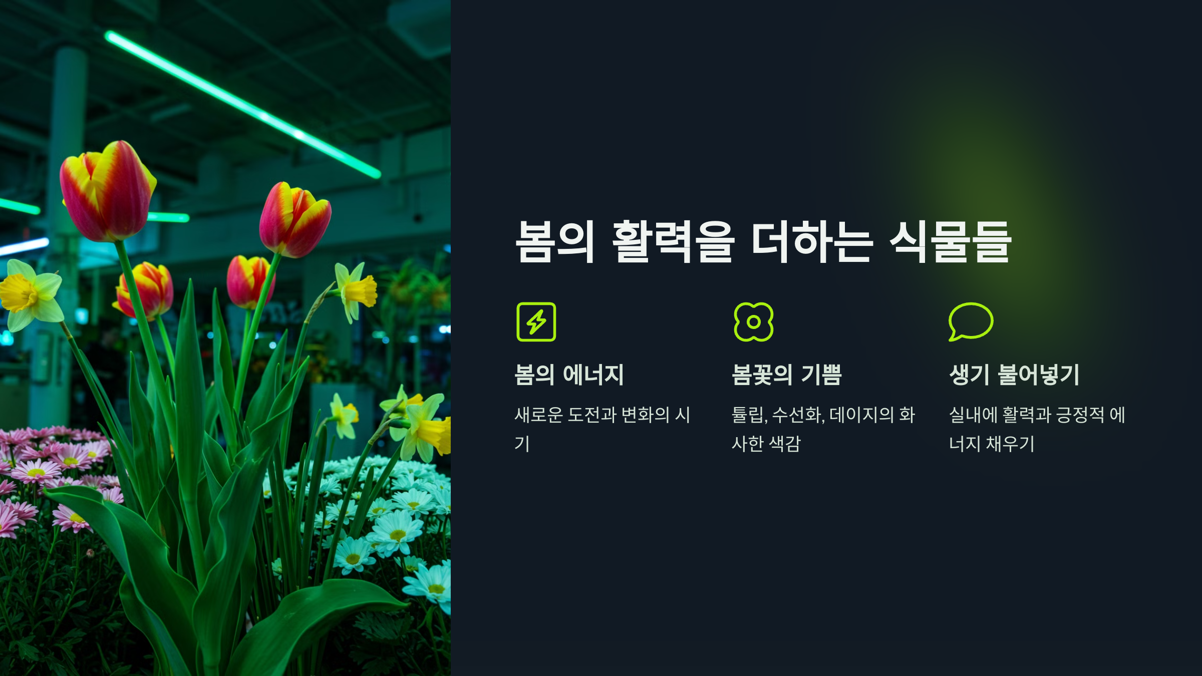 봄의 활력을 더하는 식물들