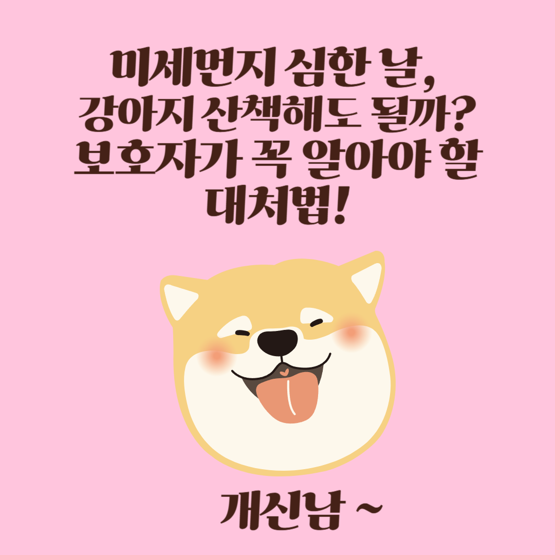 미세먼지 심한 날, 강아지 산책해도 될까? 보호자가 꼭 알아야 할 대처법!