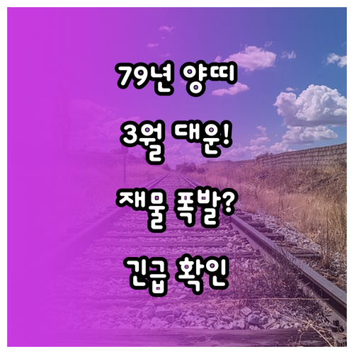 1979년생 양띠 2026년 3월 운..