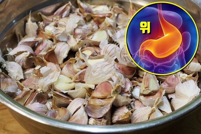 마늘 껍질 효능, 위암 유방암 대장암 예방, 암이 최고 싫어하는 채소 끝부위, 건강, 팁줌 매일꿀정보