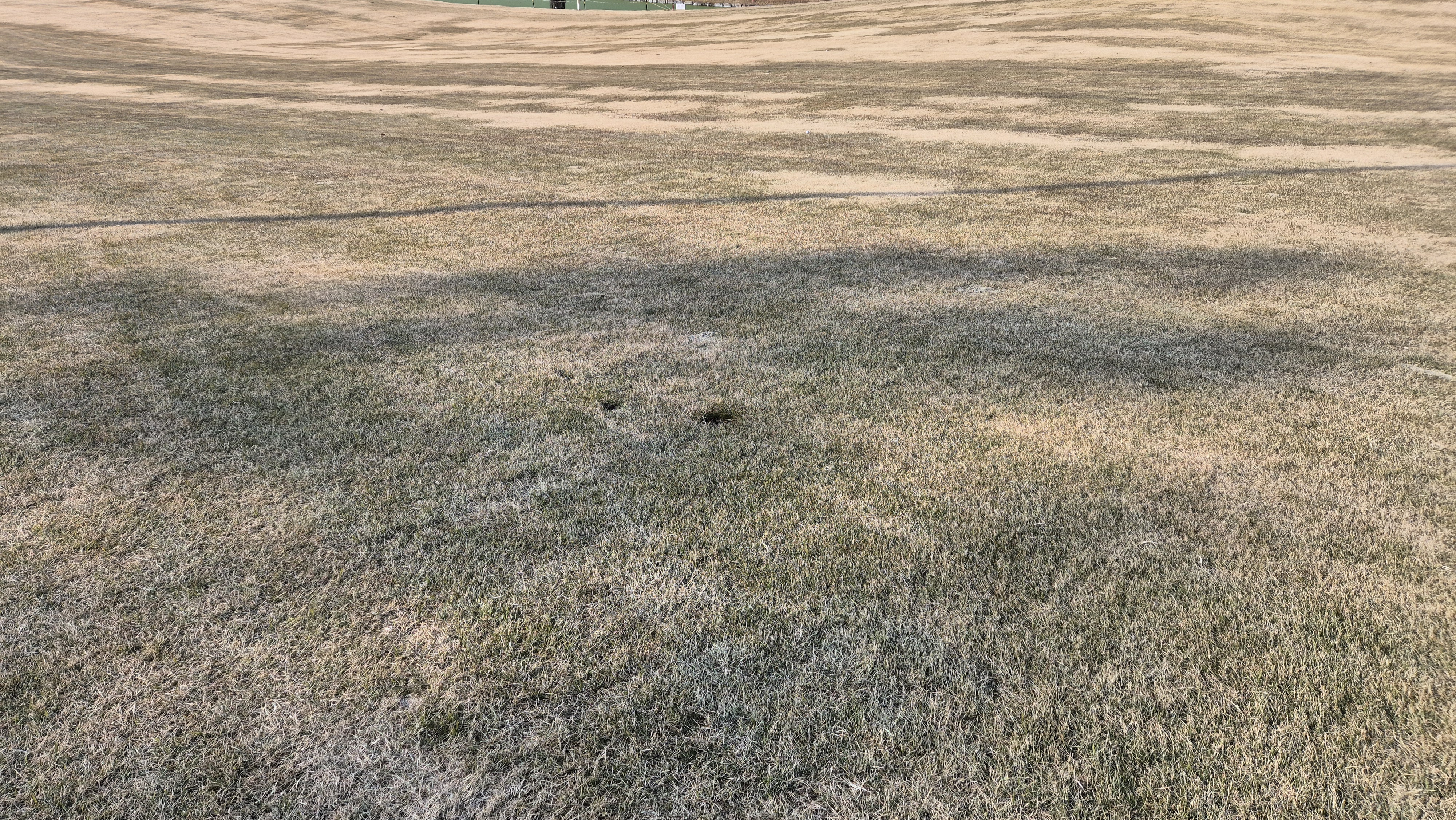 힐데스하임 레이크-힐 코스 코스 관리 상태