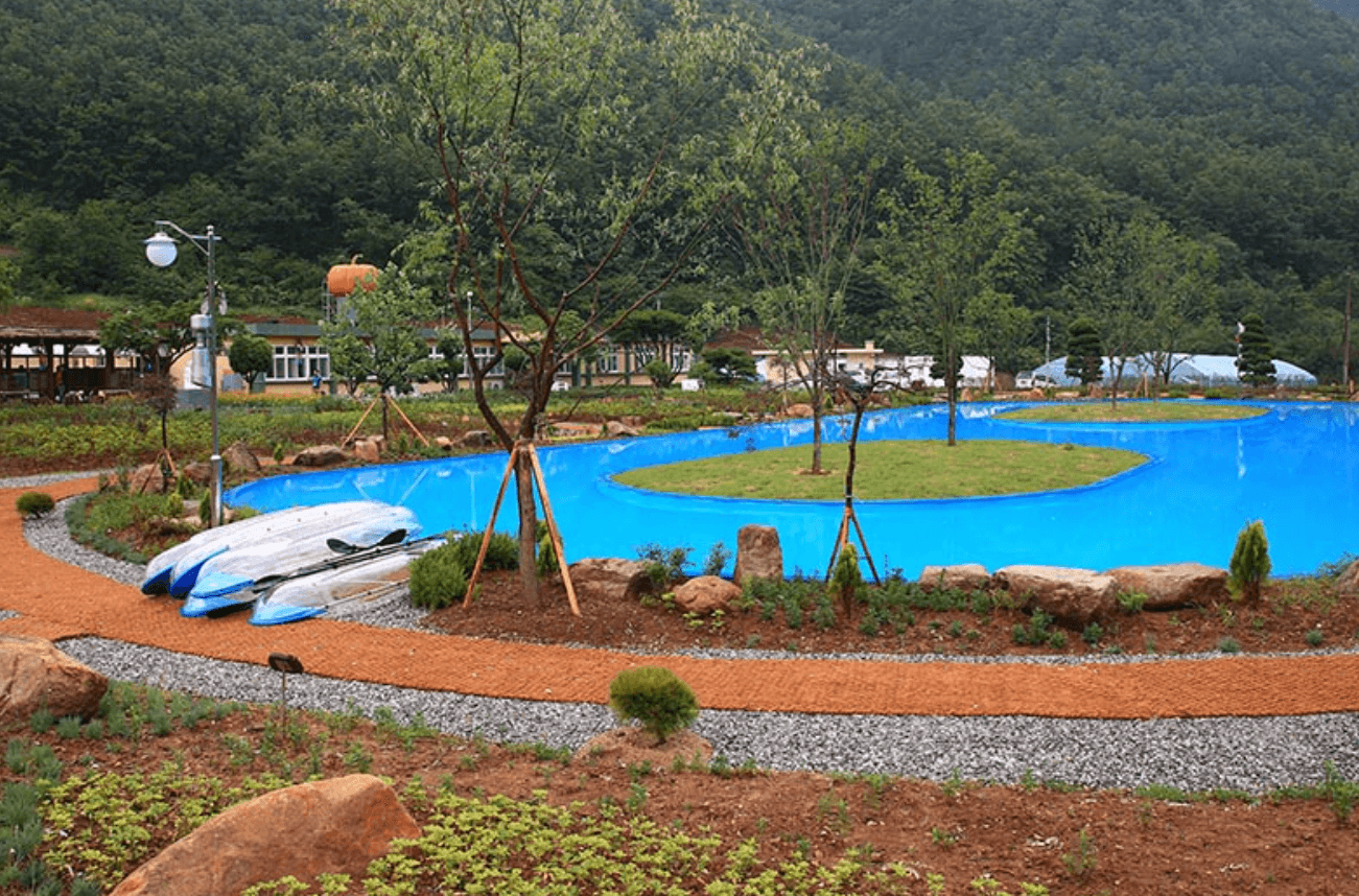 강원도 겨울 반려동물 애견 동반 여행지 추천