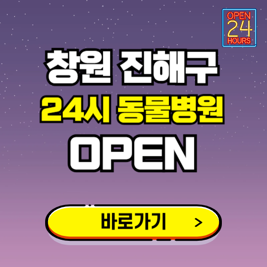 창원시 진해구 24시 동물병원 진료하는 곳 ❘ 설날 휴일 야간 심야 문여는곳 찾기 ❘ 응급진료