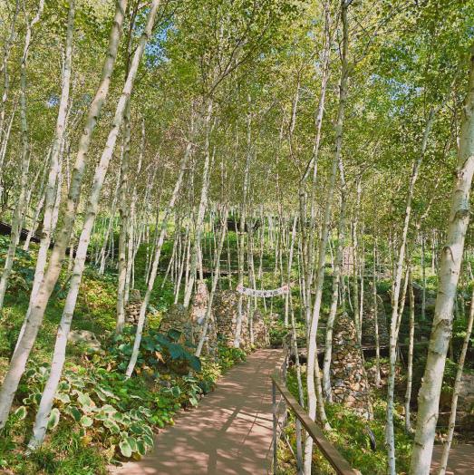 화담숲 가을 단풍 축제 홈페이지 예약 입장료 단풍 절정시기 모노레일 구간 요금1