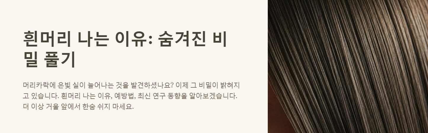 흰머리 나는 이유